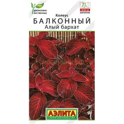 Колеус Алый бархат балконный (Аэлита)