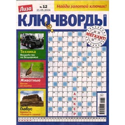 Лиза. Ключворды 12/24