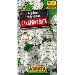 Вербена Сахарная вата (Аэлита)