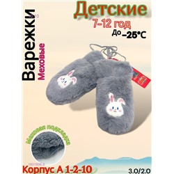 Детские варежки 1831906-8