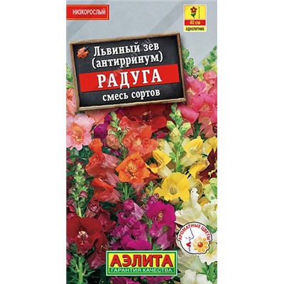 Львиный зев Радуга низкорослый (Аэлита)