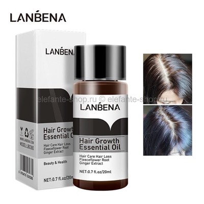 Масло для роста волос Lanbena Hair Growth Essential Oil, 20 мл (КО)