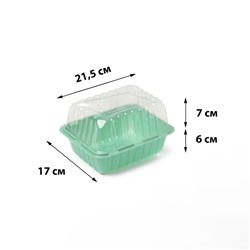 Мини-парник для рассады, 21,5 × 17 × 7,5 см, без вставок, зелёный