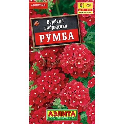 Вербена Румба (Аэлита)