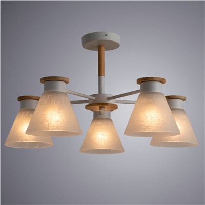 Потолочная люстра Arte Lamp TYLER A1031PL-5WH