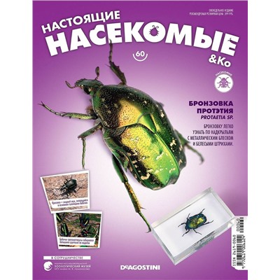 Журнал №60 "Настоящие насекомые" С ВЛОЖЕНИЕМ! Бронзовка протэтия
