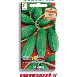 Огурец Вязниковский 37 (П)