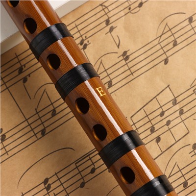 Флейта Music Life 48 см, бамбук, тональность E