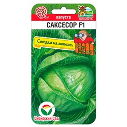 Капуста б/к Саксесор F1 (Код: 92165)