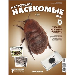 Журнал №39 "Настоящие насекомые" С ВЛОЖЕНИЕМ! Таракан-черепашка (личинка)