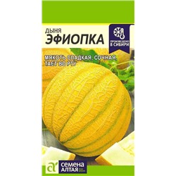 Дыня Эфиопка (Алтай)