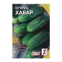 Семена Огурец "Хабар", 0,5 г