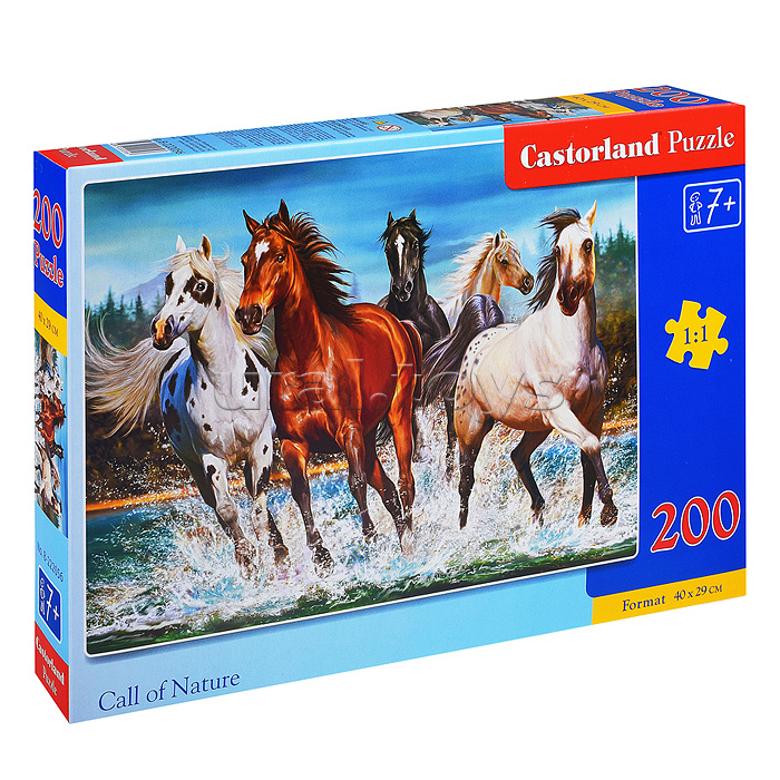 Пазлы 200. Пазл "лошади". Пазл Castorland лошади. Пазлы с лошадьми Castorland 500. Пазл 200 деталей "лошади".