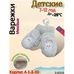 Детские варежки 1831906-4