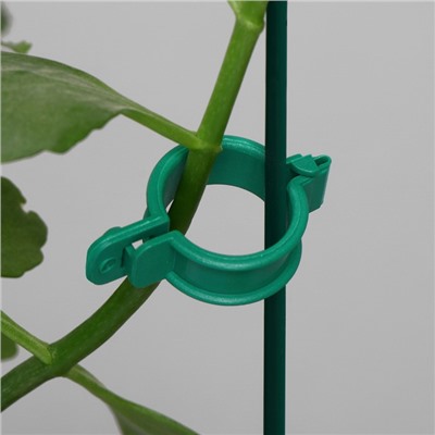 Клипса садовая, d = 20 мм, набор 100 шт., зелёный, Greengo