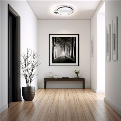 Потолочный светильник Escada 10226/3 ROUND LED*60W Black/White