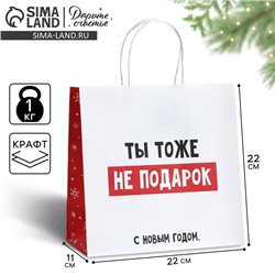 Пакет подарочный новогодний «Ты тоже не подарок», 22 х 22 х 11 см , Новый год