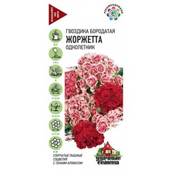 Гвоздика Турецкая Жоржетта УС (Код: 92727)