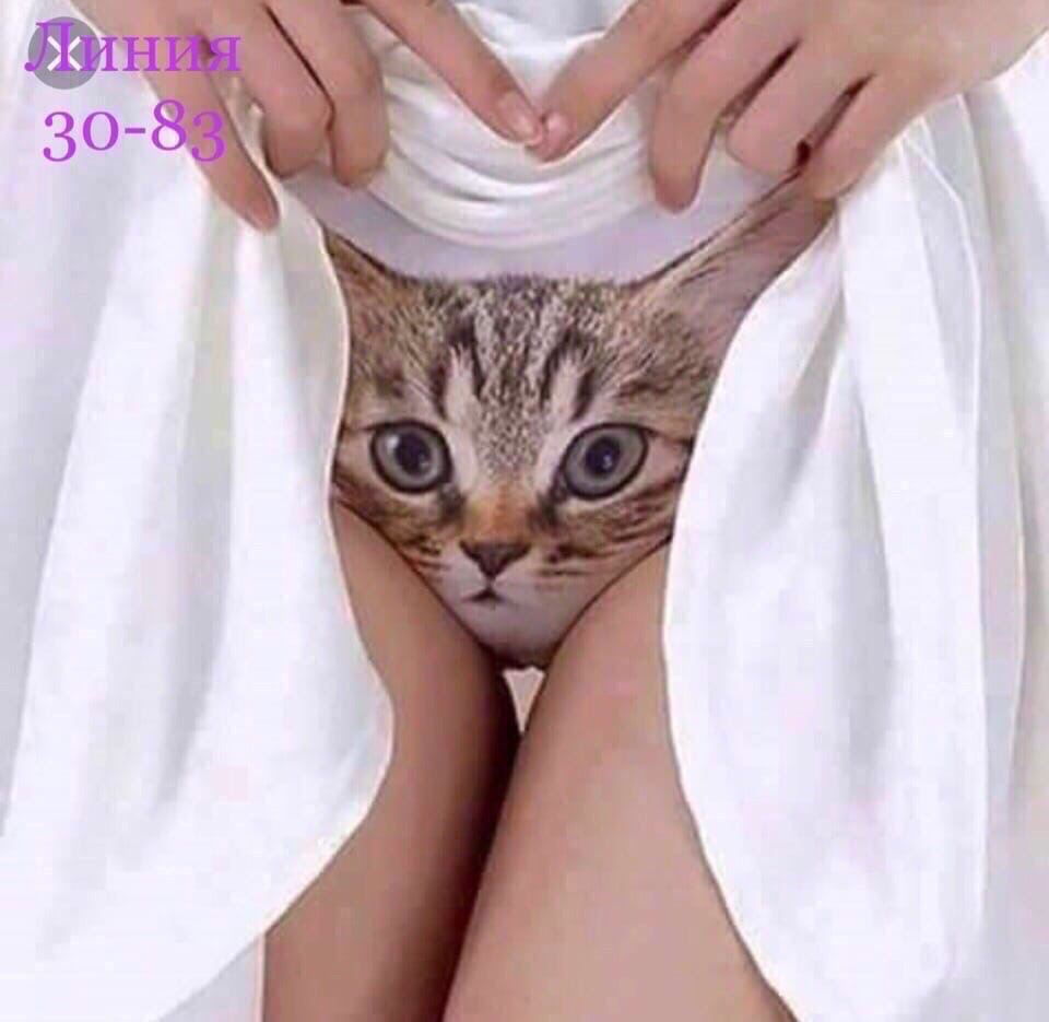 Девушка в белье с котом