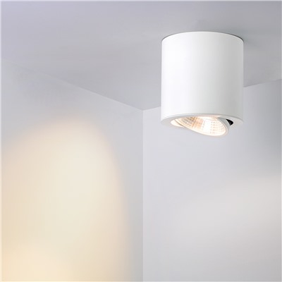 Светильник SP-FOCUS-R140-30W Day White (Arlight, IP20 Металл, 3 года)