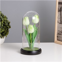 Ночник «Тюльпаны» LED 3хААА зеленый 10,5х10,5х22см