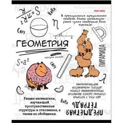 Тетрадь 48л "КАПИБАРА" по геометрии 48-0035 Проф-Пресс