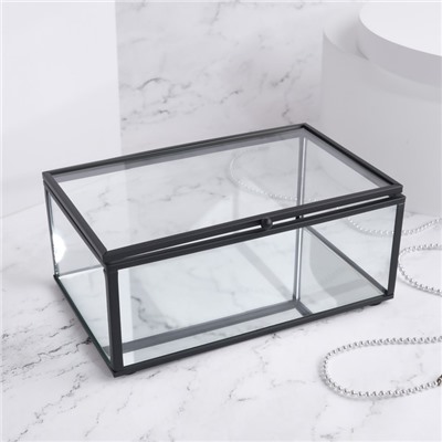 Органайзер для хранения, 1 секция, с крышкой, стеклянный, с зеркальным основанием, 17 × 10,5 см, цвет прозрачный/чёрный
