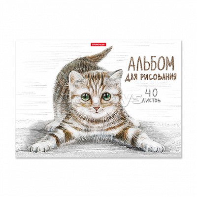 Альбом для рисования 40 л. "Tabby" А4, на клею