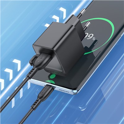 Адаптер Сетевой с кабелем Borofone BAS11A Erudite USB 2,1A/10,5W (USB/Type-C) (black)