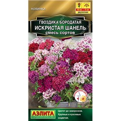 Гвоздика Искристая Шанель смесь (Код: 92421)