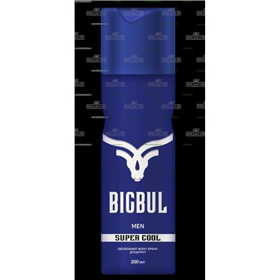 Дезодорант для мужчин (Super cool) "Bigbul"