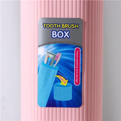Футляр для зубной щётки и пасты, 19,5×6,5×4,5 см, цвет МИКС