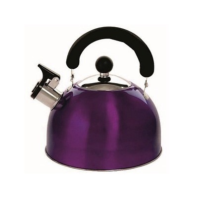 Чайник со свистком 2,5л фиолет, нжс