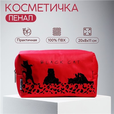 Косметичка «Black Cat» 17х10х5 см, на молнии