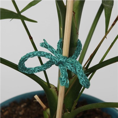 Шнур для подвязки растений, 50 м, толщина 2 мм, цвет МИКС, Greengo