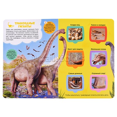 Первые знания малыша(с окошками). Динозавры