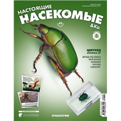 Журнал №49 "Настоящие насекомые" С ВЛОЖЕНИЕМ! Цветоед