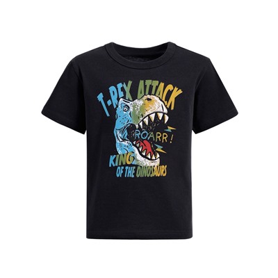 футболка 1ПДФК4331001; черный / Разноцветный динозавр