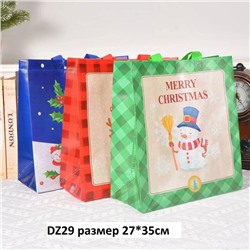 Набор подарочных пакетов 12 шт/ DZ29 размер 27*35см