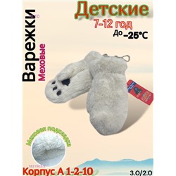 Детские варежки 1831903-9