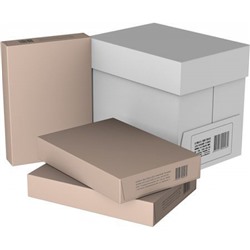 Бумага А4 500л 80 г/м2 WHITE BOX ECO 60 % ЭКОА4 Svetocopy