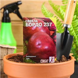 Семена Свекла "Бордо 237", 1 г