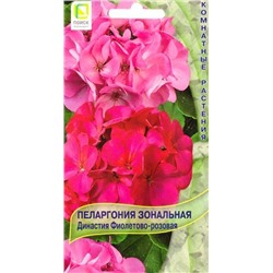 Пеларгония Династия фиолетово-розовая (Код: 85709)