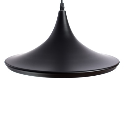 Подвесной светильник Arte Lamp CAPPELLO A3406SP-1BK