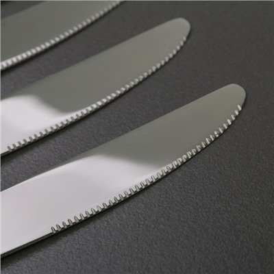 Ножи столовые из нержавеющей стали Доляна «Капля», длина 23 см, 6 шт, цвет серебряный
