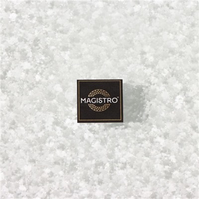 Блюдо стеклянное сервировочное Magistro «Авис», 24,5×16,5×4 см