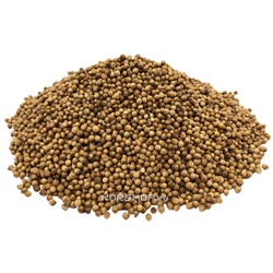 Кориандр в зернах (0,5 кг)