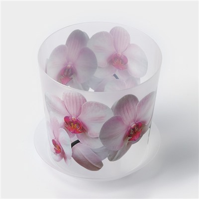 Горшок для орхидей с поддоном «Деко», 1,2 л цвет белый