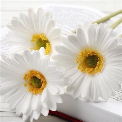 Цветок искусственный Гербера 43 см белый / 1501 /уп 56/560/ латэкс