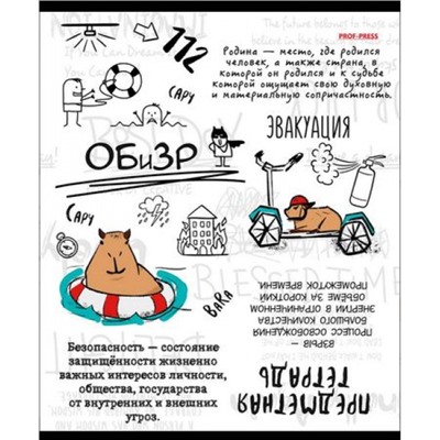 Тетрадь 48л "КАПИБАРА" по ОБиЗР 48-0041 Проф-Пресс
